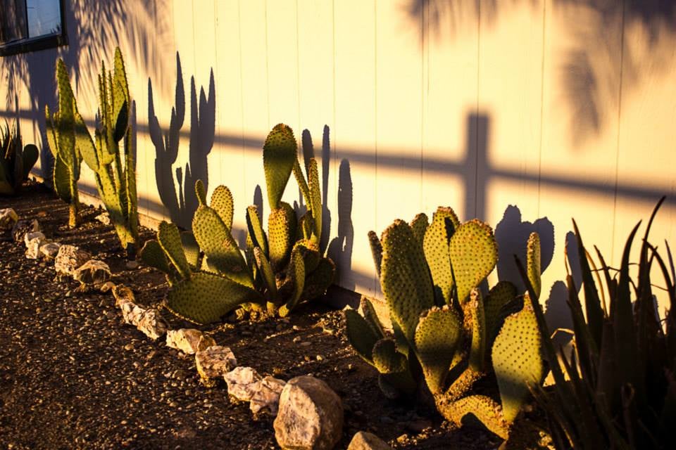 SPLIT RAIL RV PARK 1258 N Central Blvd, Quartzsite, Arizona RV