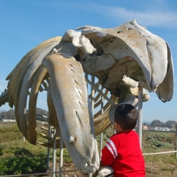 Seymour Marine Discovery Center