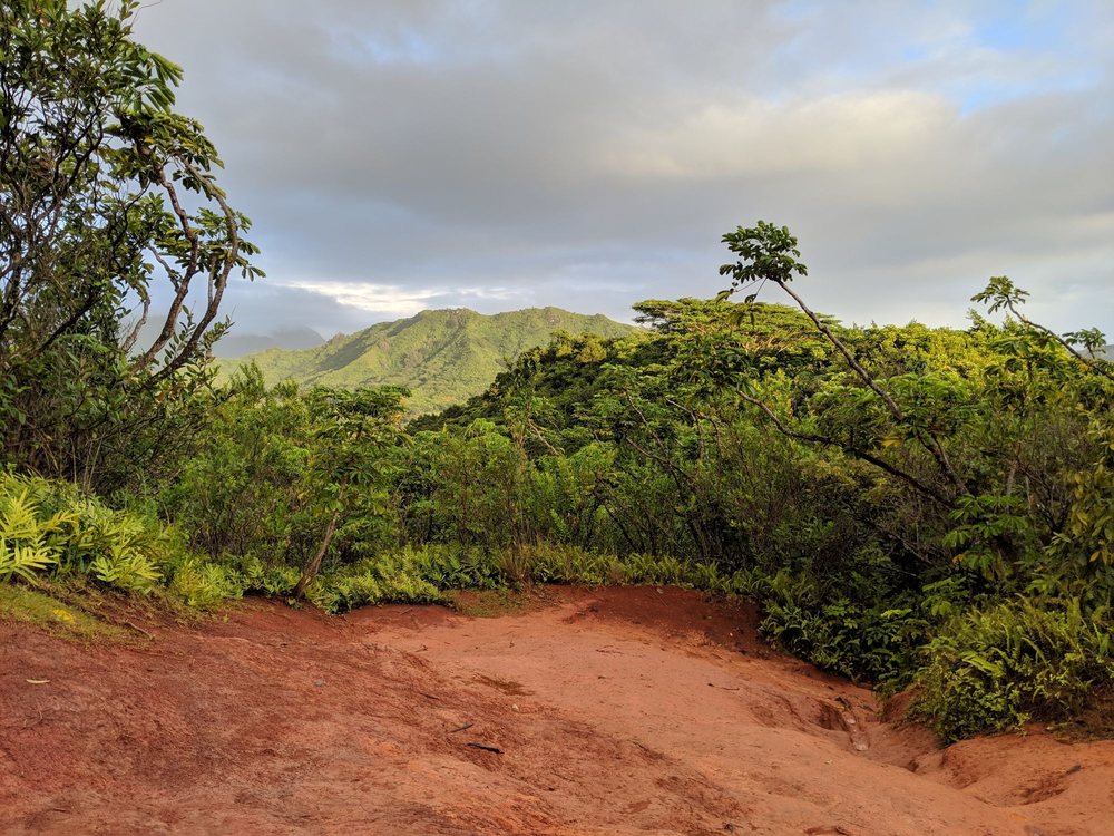 OLOMANA HIKE 823 Photos & 232 Reviews Hiking 770 Auloa Rd, Kailua, HI