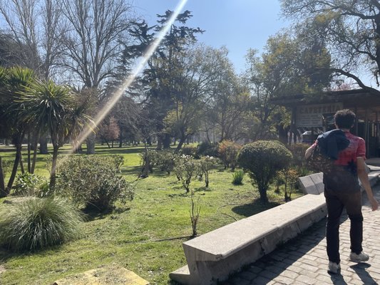 Parque Quinta Normal by null