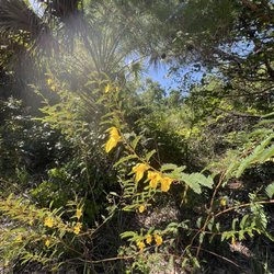 AIS Trail Park