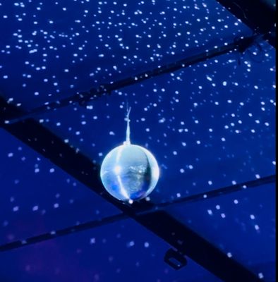 FIELDS OF ICE - Updated February 2026 - 42 Photos & 29 Reviews - 716 N ...