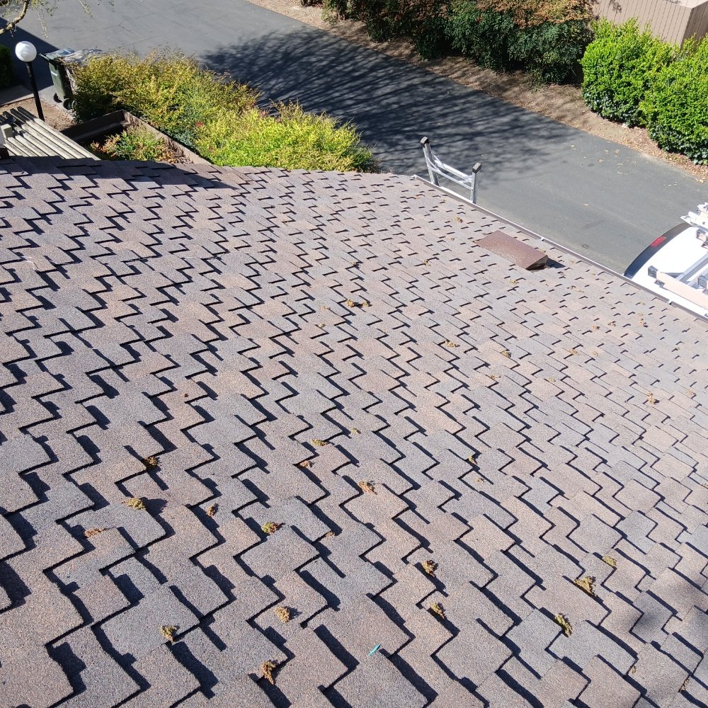 Slide of Prestige Roofing