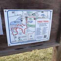 Mill Pond Recreation Area - trail map