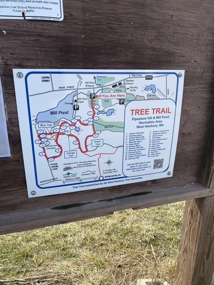 Mill Pond Recreation Area Image