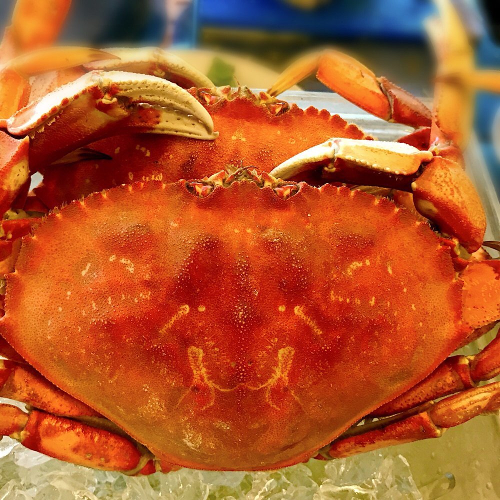 GEMINI FISH MARKET Updated September 2024 59 Photos & 88 Reviews