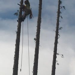 A & M Tree Service
