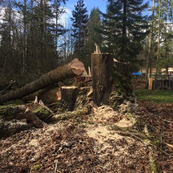 Top Notch Tree Service - Tree Services Near Me - Graham, Washington Top Notch Tree Service - Tree Services Near Me - Graham, Washington