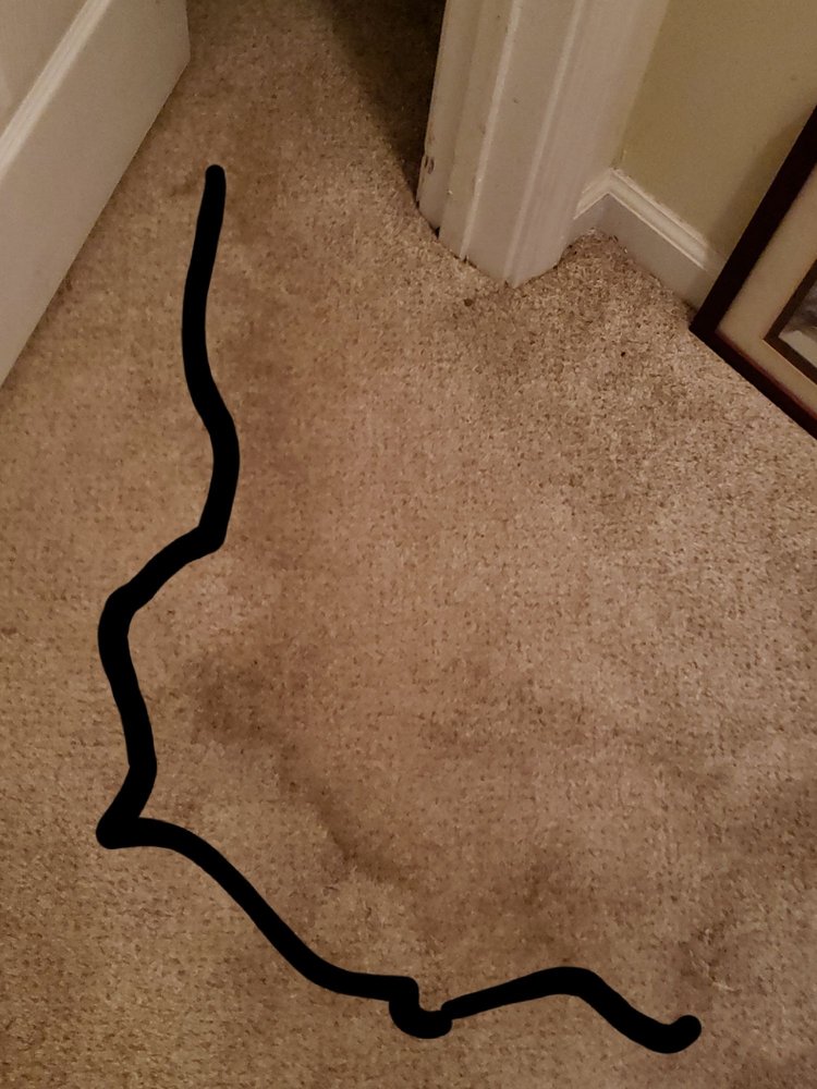 ZEROREZ SAVANNAH AND LOW COUNTRY Updated September 2024 12 Photos