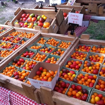 Dufferin Grove Park - Organic Farmers' market on Thursdays. - Parks Near Me - Toronto, Ontario Dufferin Grove Park - Organic Farmers' market on Thursdays. - Parks Near Me - Toronto, Ontario