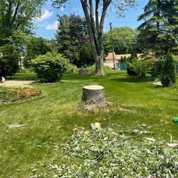 Hidden Valley Tree Service - Tree Services Near Me - Brookfield, Wisconsin