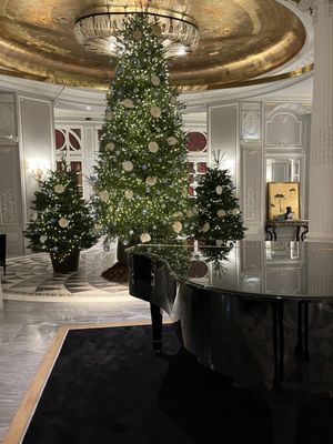 The St. Regis Rome by null