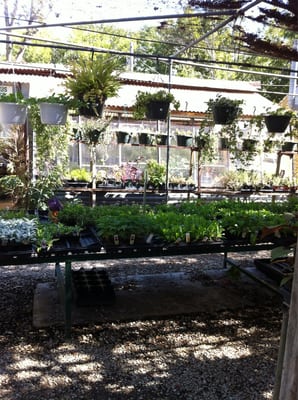 Fanick S Garden Center 1025 Holmgreen Rd San Antonio Tx Irrigation Systems Equipment Mapquest
