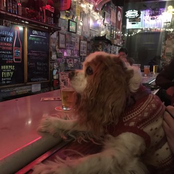 Toronado - Dive Bars Near Me - San Francisco, California Toronado - Dive Bars Near Me - San Francisco, California