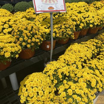 Houston Garden Centers - Nurseries & Gardening Near Me - Webster, Texas