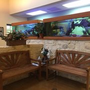 Bridge Street Animal Clinic 16 Reviews Veterinarians 5621 Bridge St Eastside Fort Worth Tx Phone Number Yelp