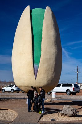 McGinn's PistachioLand by null