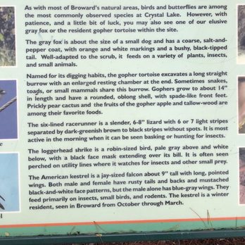 Crystal Lake Sand Pine Scrub Natural Area - Hiking Near Me - Pompano Beach, Florida
