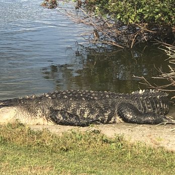 Buffalo Creek Golf Course - Golf Near Me - Palmetto, Florida
