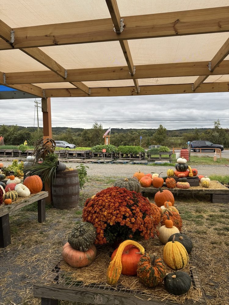 Brossman Farm Stand Logo
