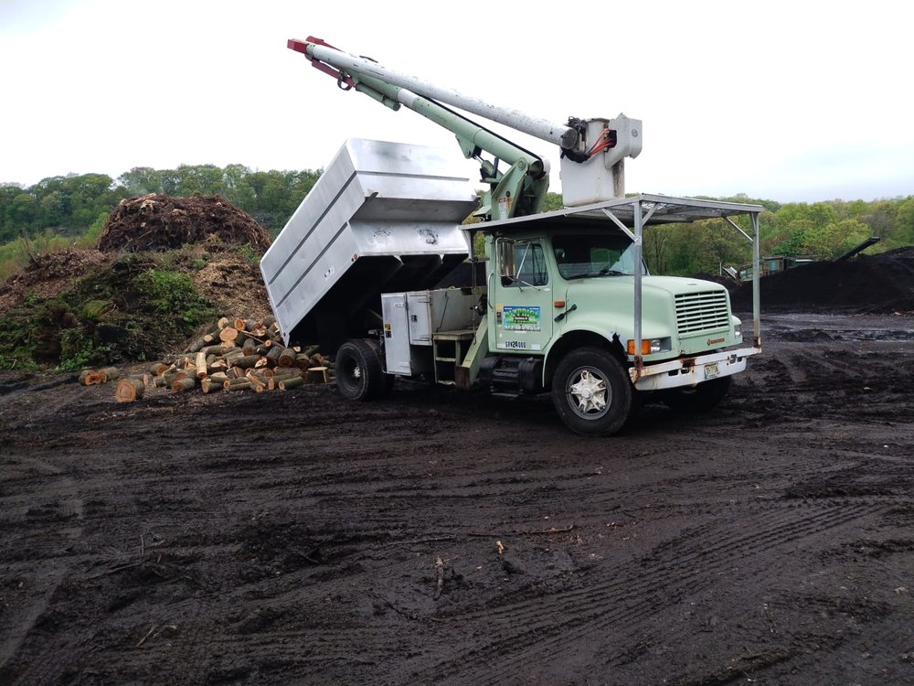 All Price Tree Service - tree service in Wharton, NJ