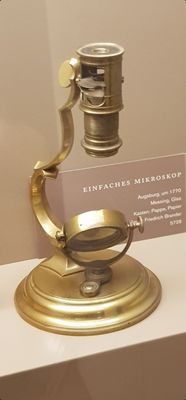 Maximilian Museum by null