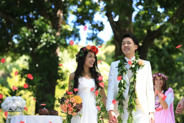 Moanalua Gardens by null