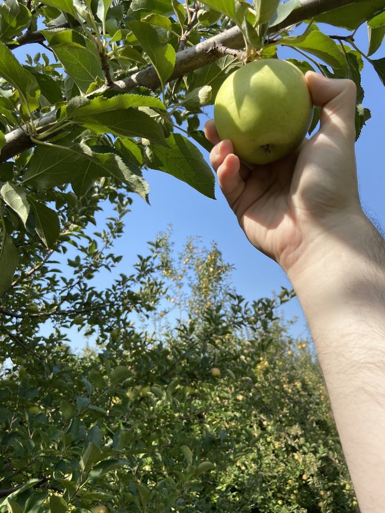 CHERRYHAWK FARM Updated August 2024 55 Photos & 28 Reviews 16220