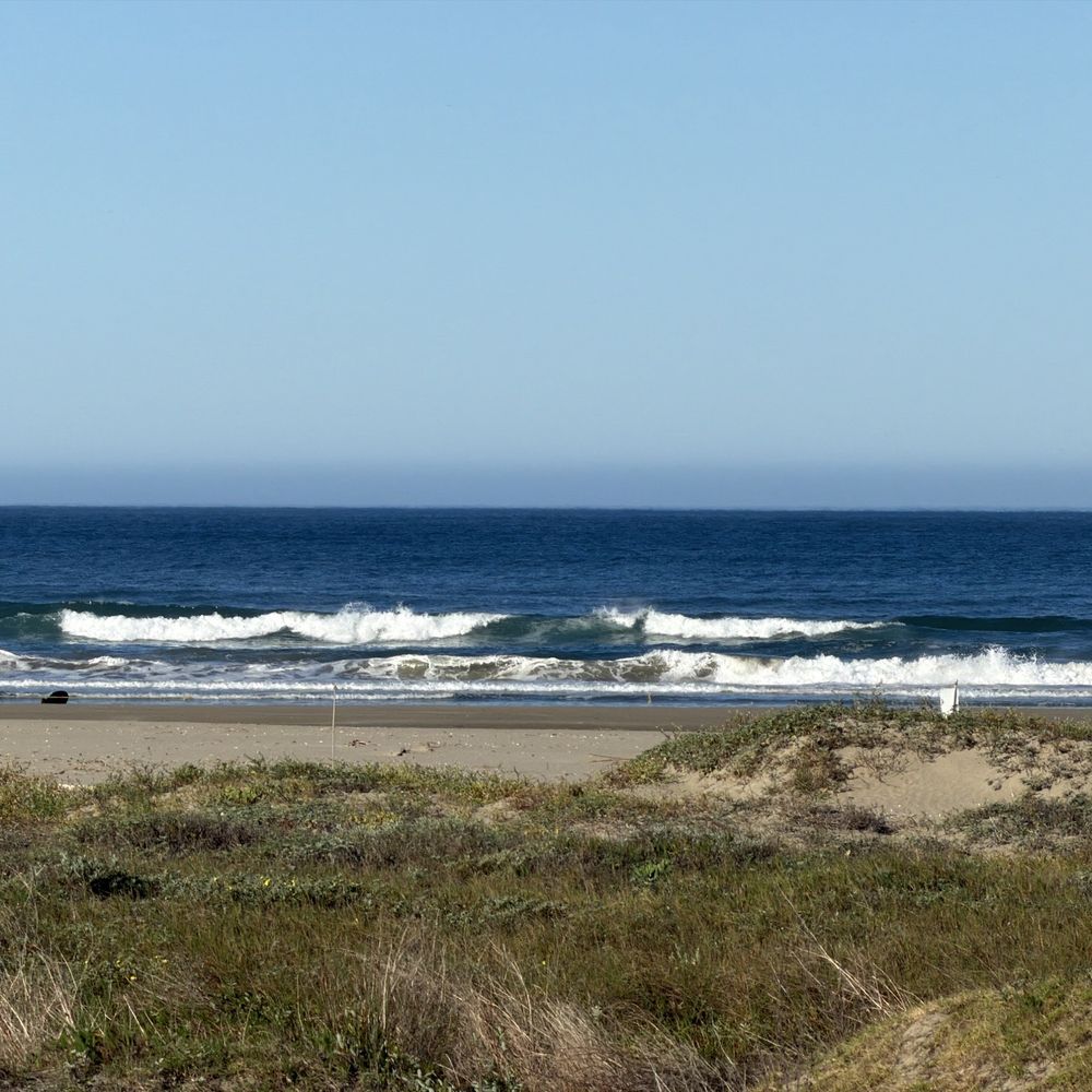 Morro Strand State Beach - So quite and relaxing - Parks Near Me Morro Strand State Beach - So quite and relaxing - Parks Near Me