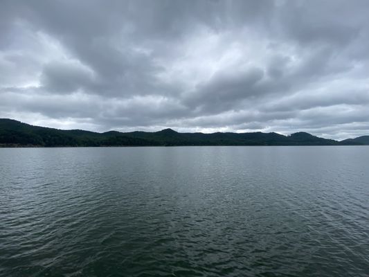 Daniel Boone National Forest by null