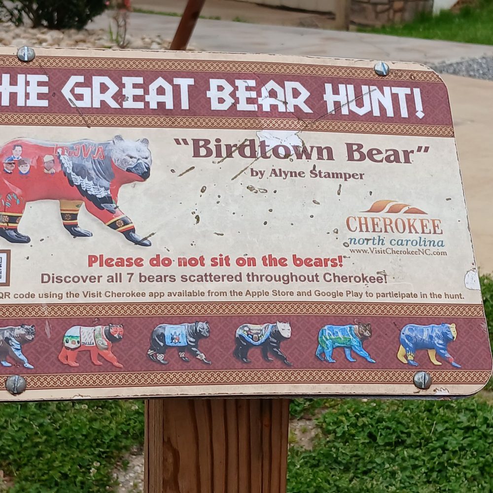 Qualla Java Cafe - Birdtown Bear - Cafes Near Me - Cherokee, North Carolina Qualla Java Cafe - Birdtown Bear - Cafes Near Me - Cherokee, North Carolina