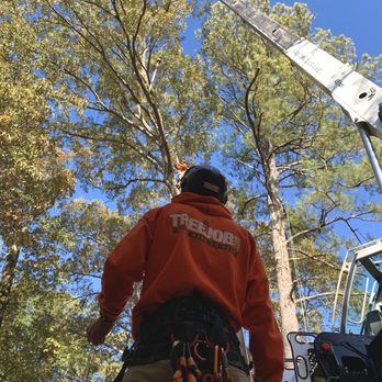 TreeJob - Tree Services Near Me - Marietta, Georgia TreeJob - Tree Services Near Me - Marietta, Georgia