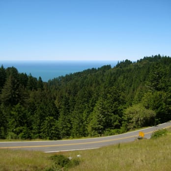 Matt Davis-Steep Ravine Loop - Hiking Near Me - Stinson Beach, California Matt Davis-Steep Ravine Loop - Hiking Near Me - Stinson Beach, California