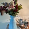 Leaning Lily gift card