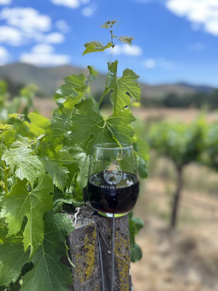 DELILAH RIDGE WINERY Updated July 2024 50 Photos & 21 Reviews