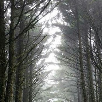 Cape Meares Lighthouse - Landmarks & Historical Buildings Near Me - Tillamook, Oregon
