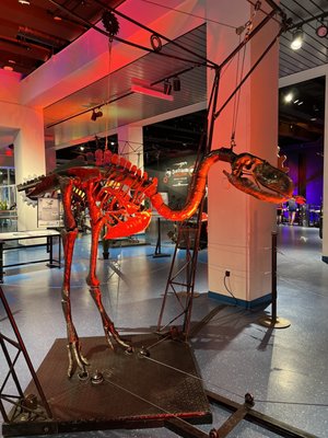 Museum of Discovery and Science by null