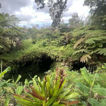 Mountain Thunder Coffee Plantation - Coffee & Tea Near Me - Kailua-Kona, Hawaii
