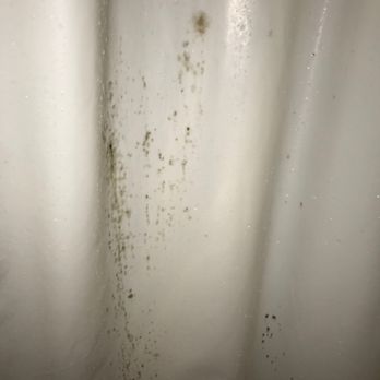 Malaga Inn - Scum, mold and slime - Hotels Near Me - Mobile, Alabama
