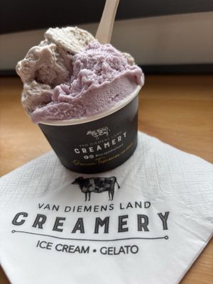 Van Diemens Land Creamery by null