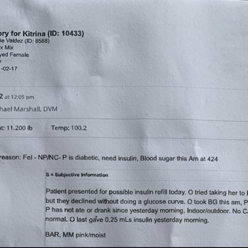 Idaho Humane Society - Vet record from Boise Animal Health saying Katrina does in fact have diabetes. This is the same day Idaho Humane Society refused to see her. - Animal Shelters Near Me - Boise, Idaho