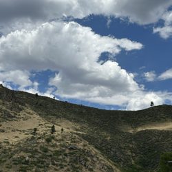 Picnic Rock Natural Area