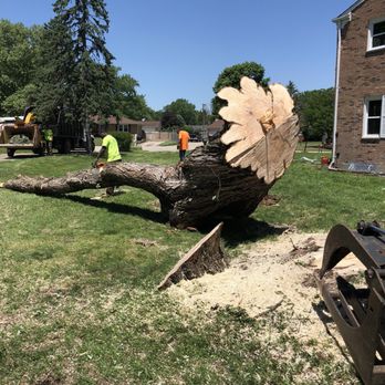 F & F Tree Service - Tree Services Near Me - Beavercreek, Ohio