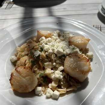 The Greek on Main - Scallops - Greek Near Me - Metuchen, New Jersey