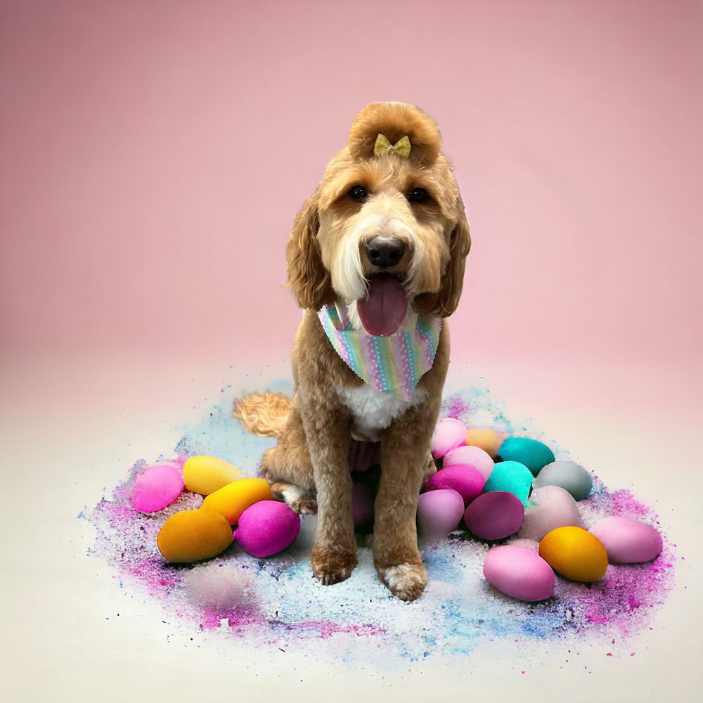 Furr Real Grooming Image