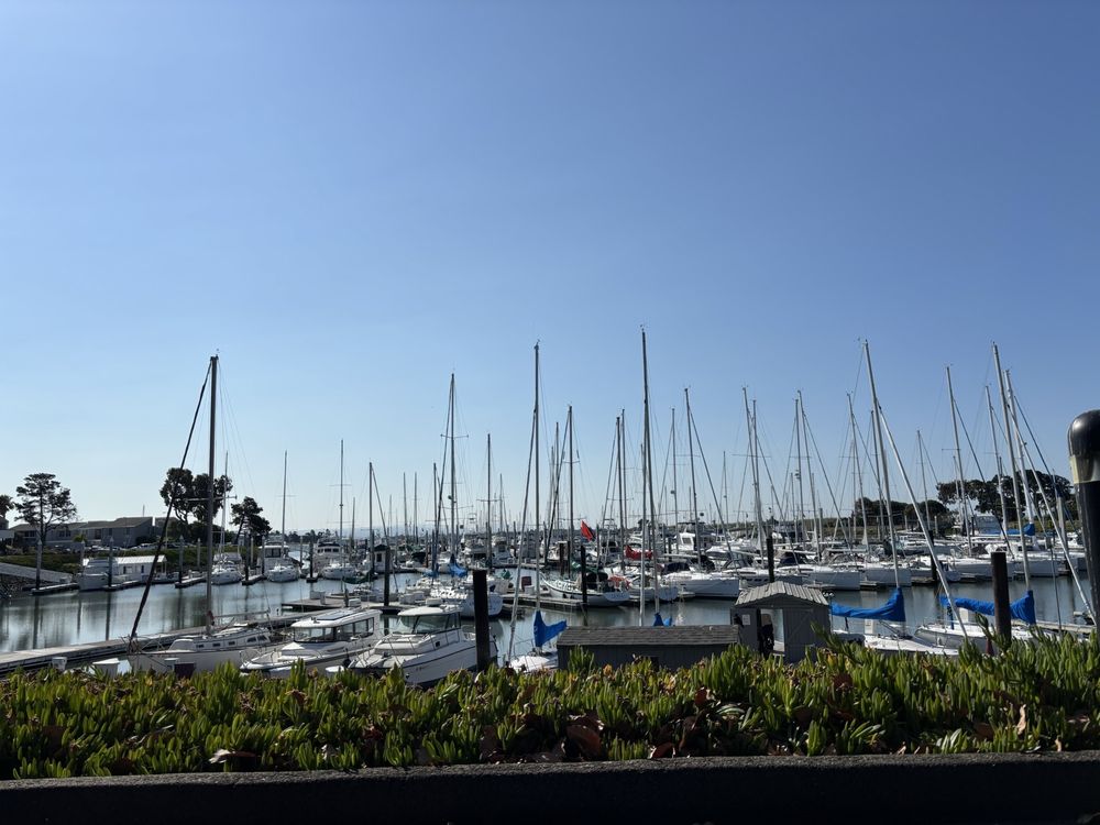 Ballena Bay
