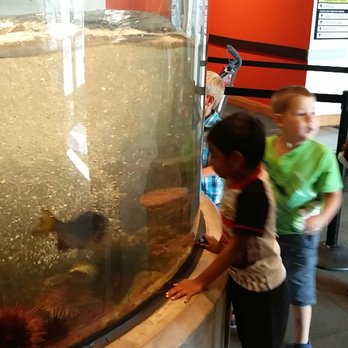 Seattle Aquarium - Wave tunnel - Aquariums Near Me - Seattle, Washington Seattle Aquarium - Wave tunnel - Aquariums Near Me - Seattle, Washington