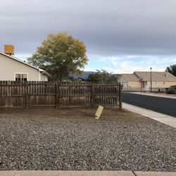 Weeds Trees N Debris - Clean property after!