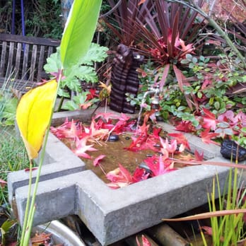 Illumigarden - a small garden with a fountain - Landscaping Near Me - Mill Valley, California Illumigarden - a small garden with a fountain - Landscaping Near Me - Mill Valley, California