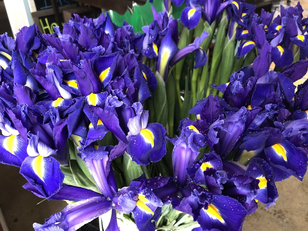 COZZOLINO PRODUCE STAND 15 Photos 12599 San Mateo Rd, Half Moon Bay